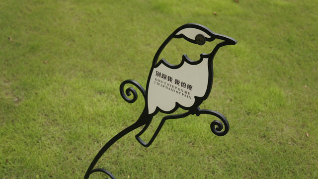 ���@��(bi��o)�R(sh��)������